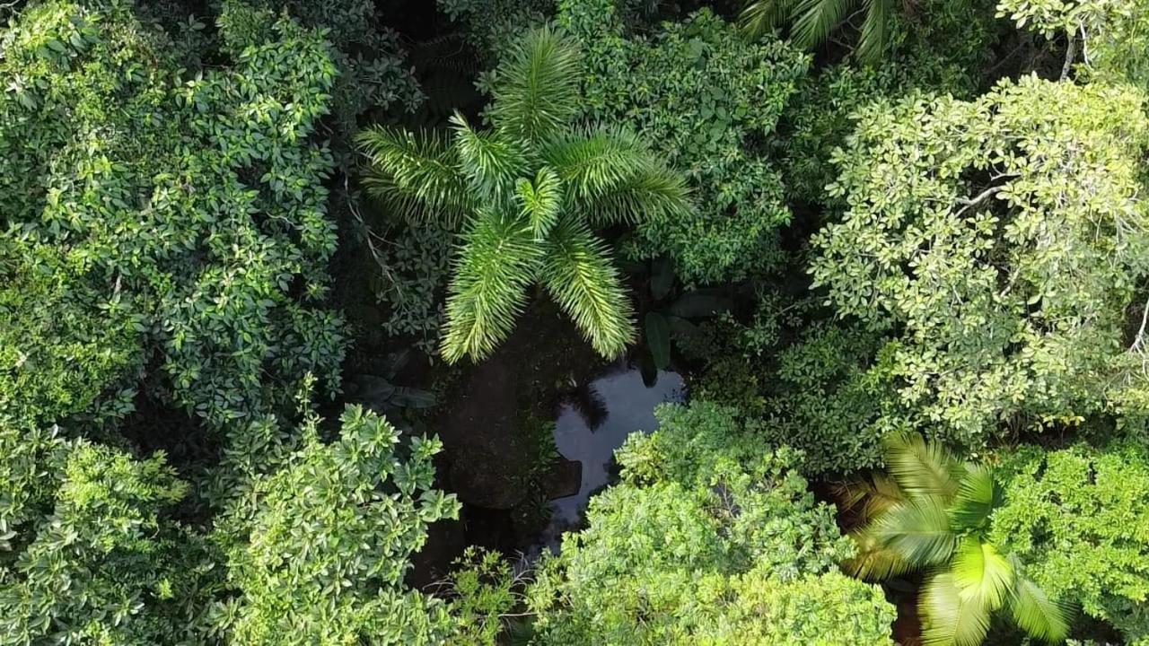 Espaço Indio Tupi Trindade  Exterior foto